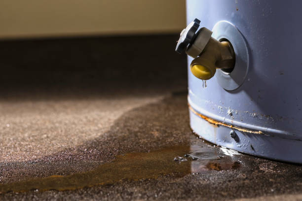 Best Flood damage cleanup  in Fairview, TN