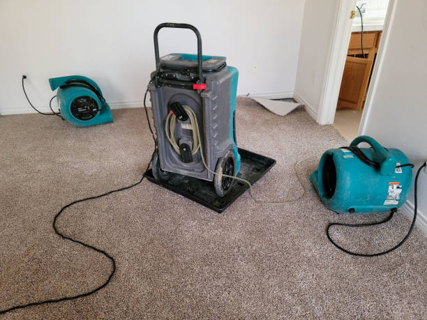 Best Fire Damage Restoration  in Fairview, TN