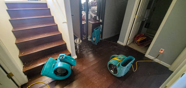  Fairview, TN Water damage restoration Pros