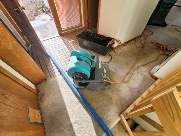 Best Water damage restoration near me  in Fairview, TN