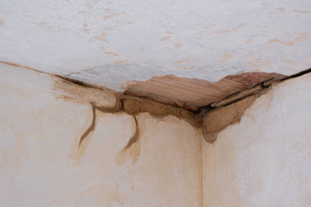Best Local water damage restoration  in Fairview, TN