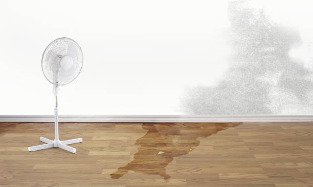 Water damage restoration insurance claims in Fairview, TN