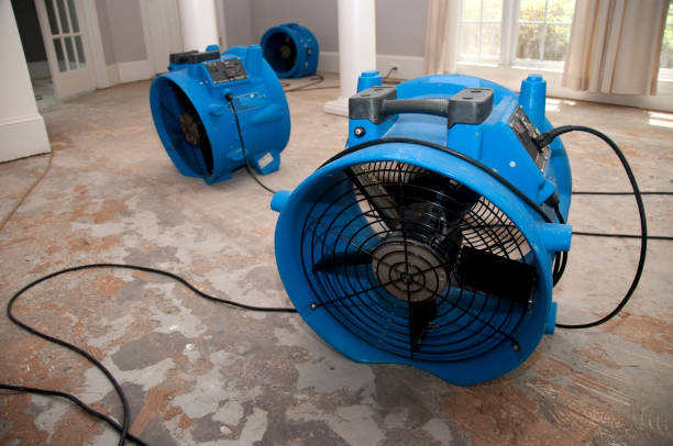 Professional Water damage restoration in Fairview, TN