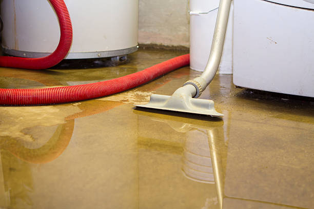 Best Water damage restoration insurance claims  in Fairview, TN