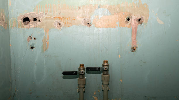 Best Ceiling water damage repair  in Fairview, TN